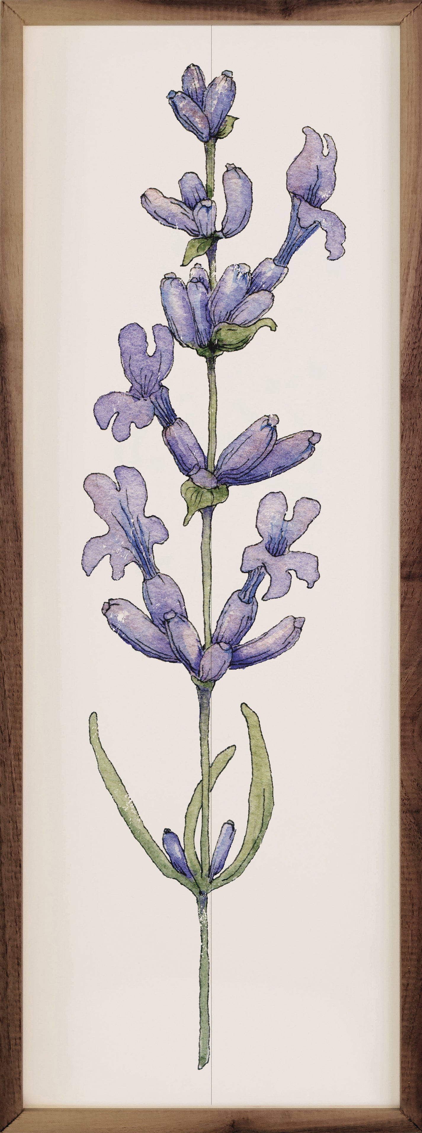 Lavender Stem