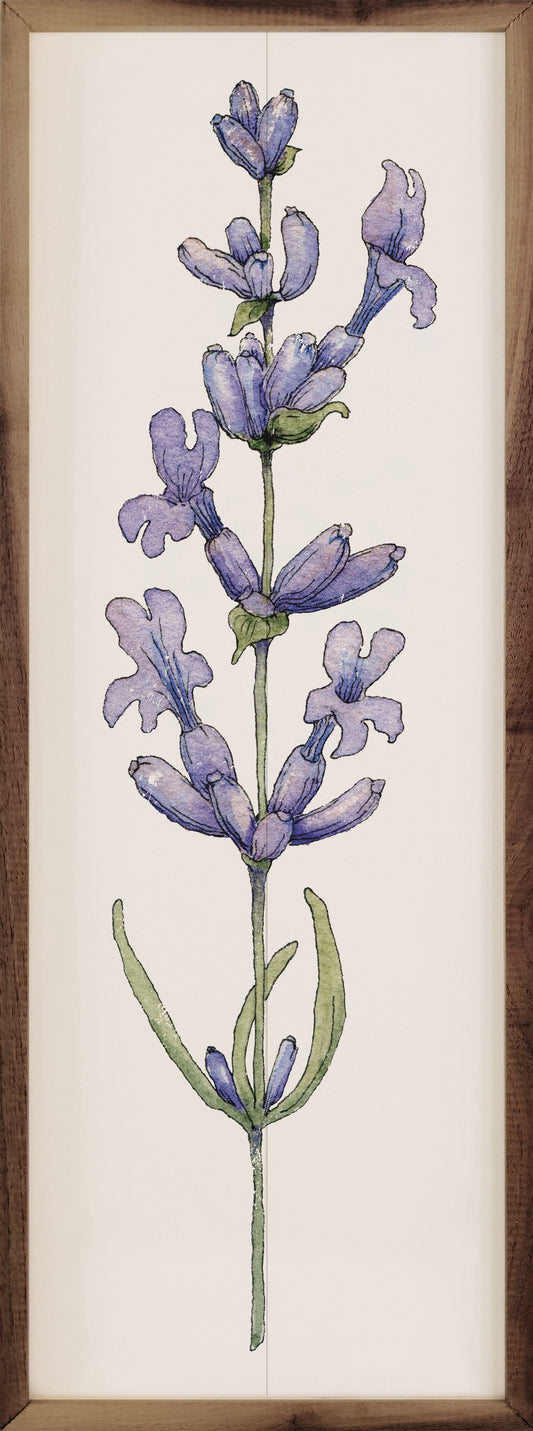 Lavender Stem
