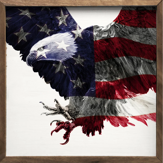 Stars And Stripes Eagle image 0