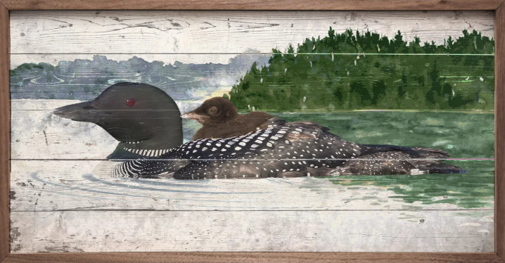 Loon And Baby On Water image 0
