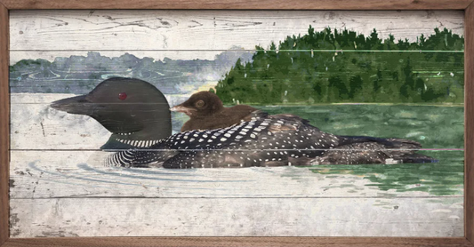 Loon And Baby On Water image 0