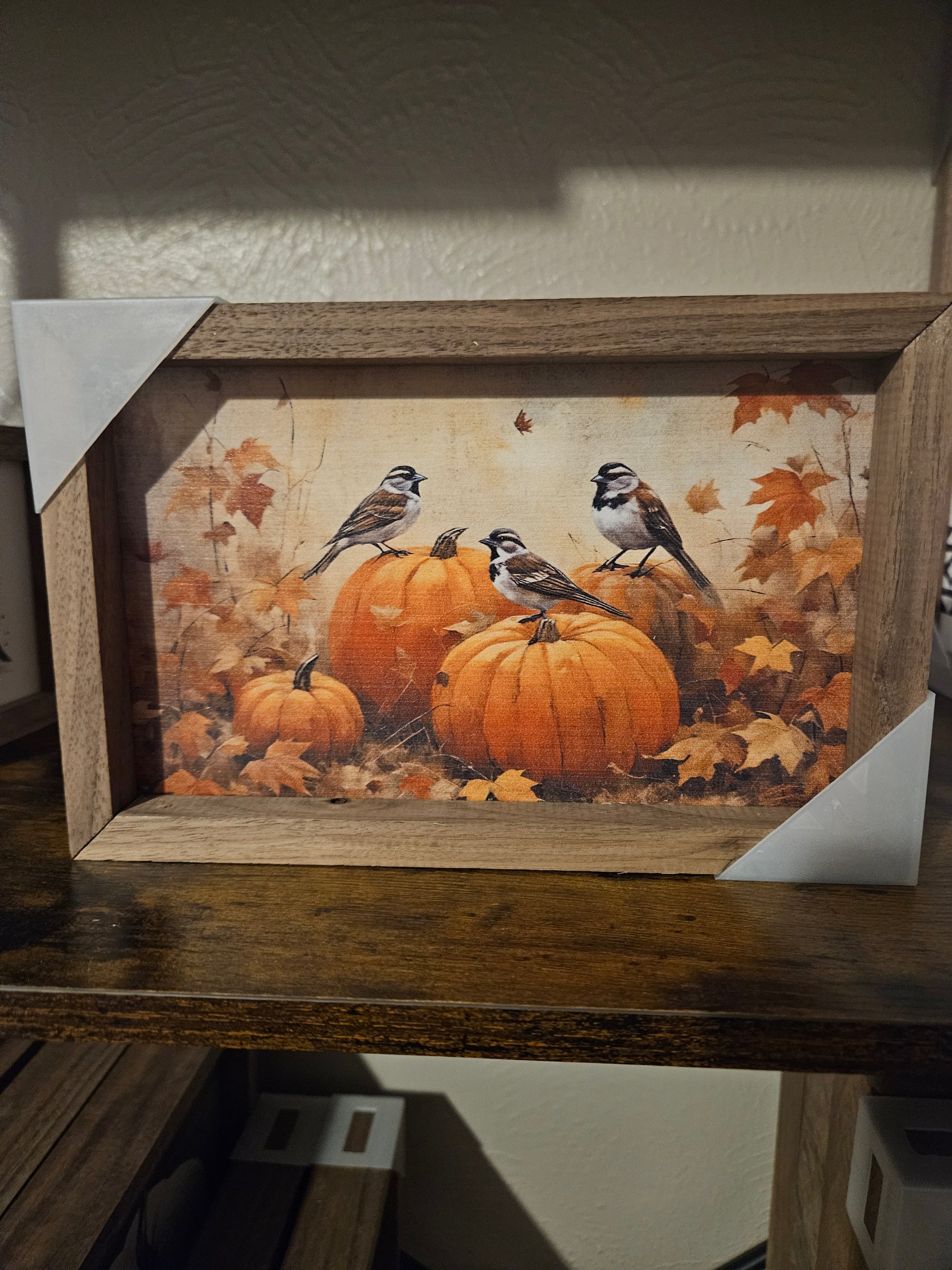 Sparrows On Pumpkins image 0