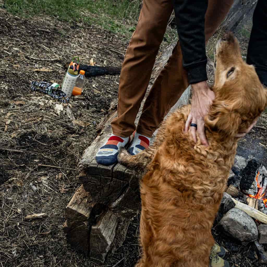 Campfire - Hike Crew Lightweight Merino Wool Sock