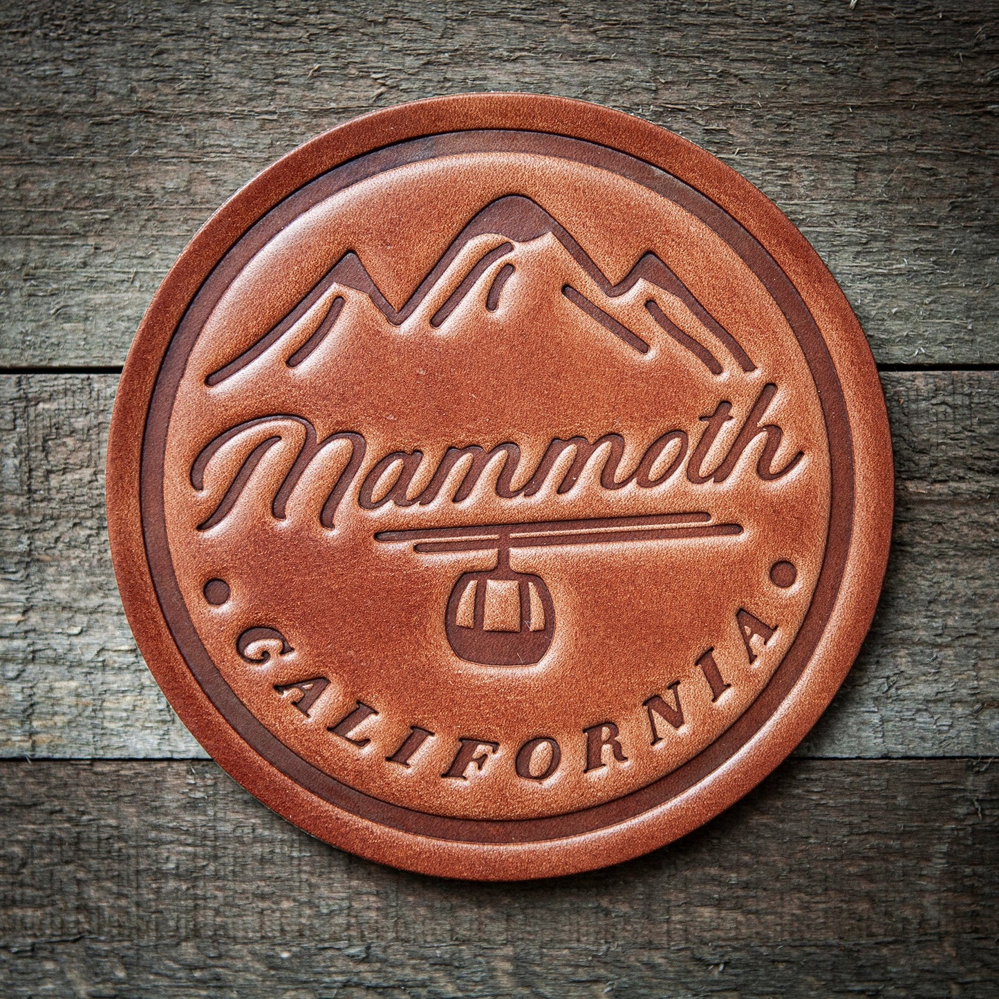 Mammoth California Leather Coaster