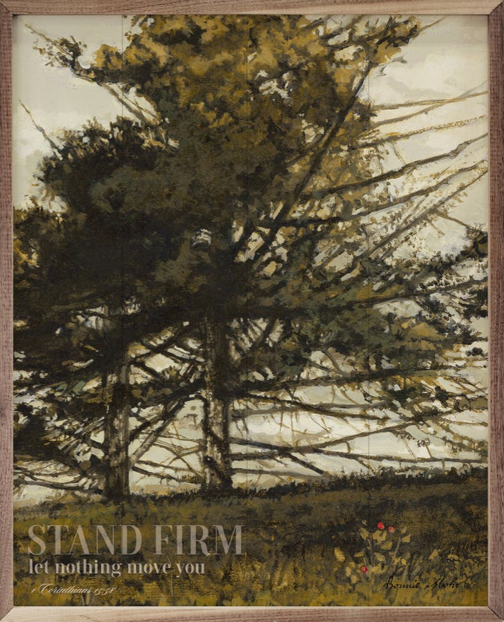 Stand Firm By Bonnie Mohr image 0