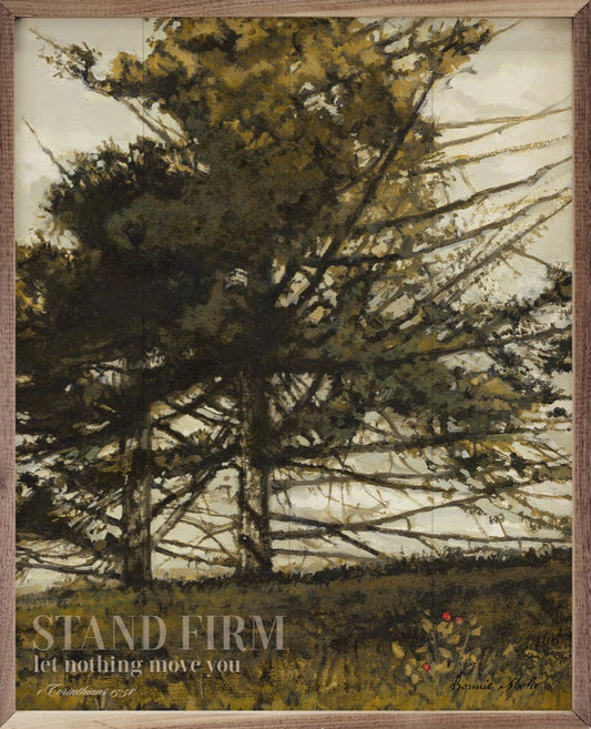 Stand Firm By Bonnie Mohr image 0