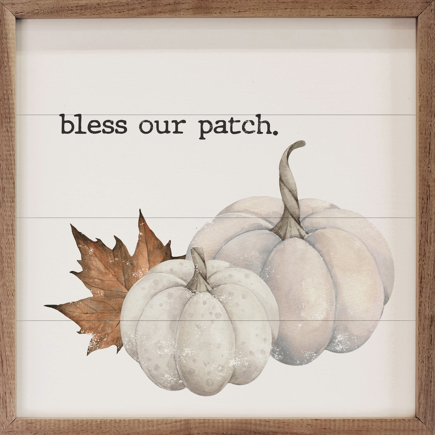 Bless Our Patch White Pumpkins image 1