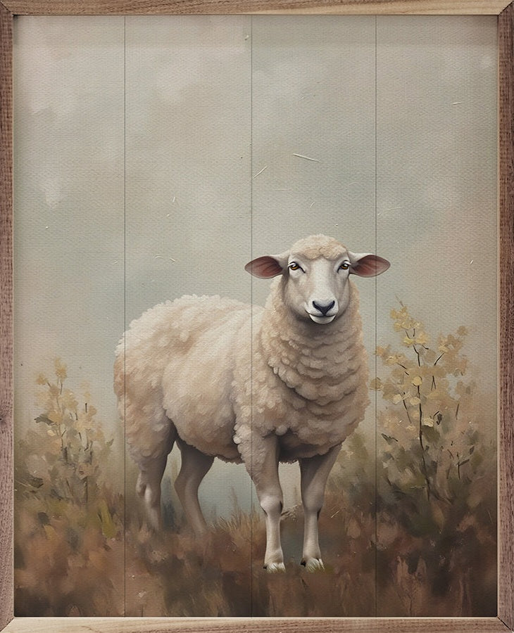 Sheep In The Field image 0