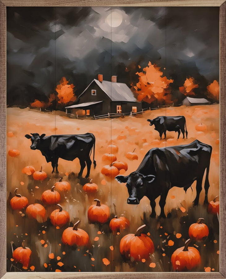 Angus In Pumpkin Field image 0