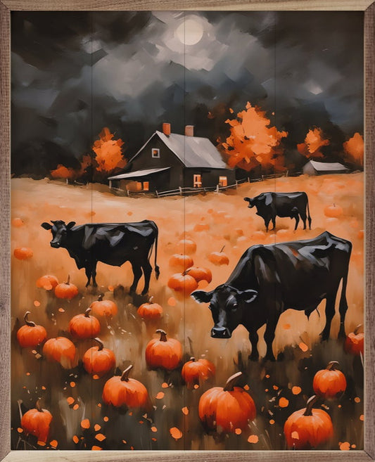 Angus In Pumpkin Field image 0