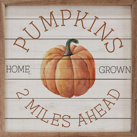 Pumpkins 2 Miles Ahead Whitewash image 0