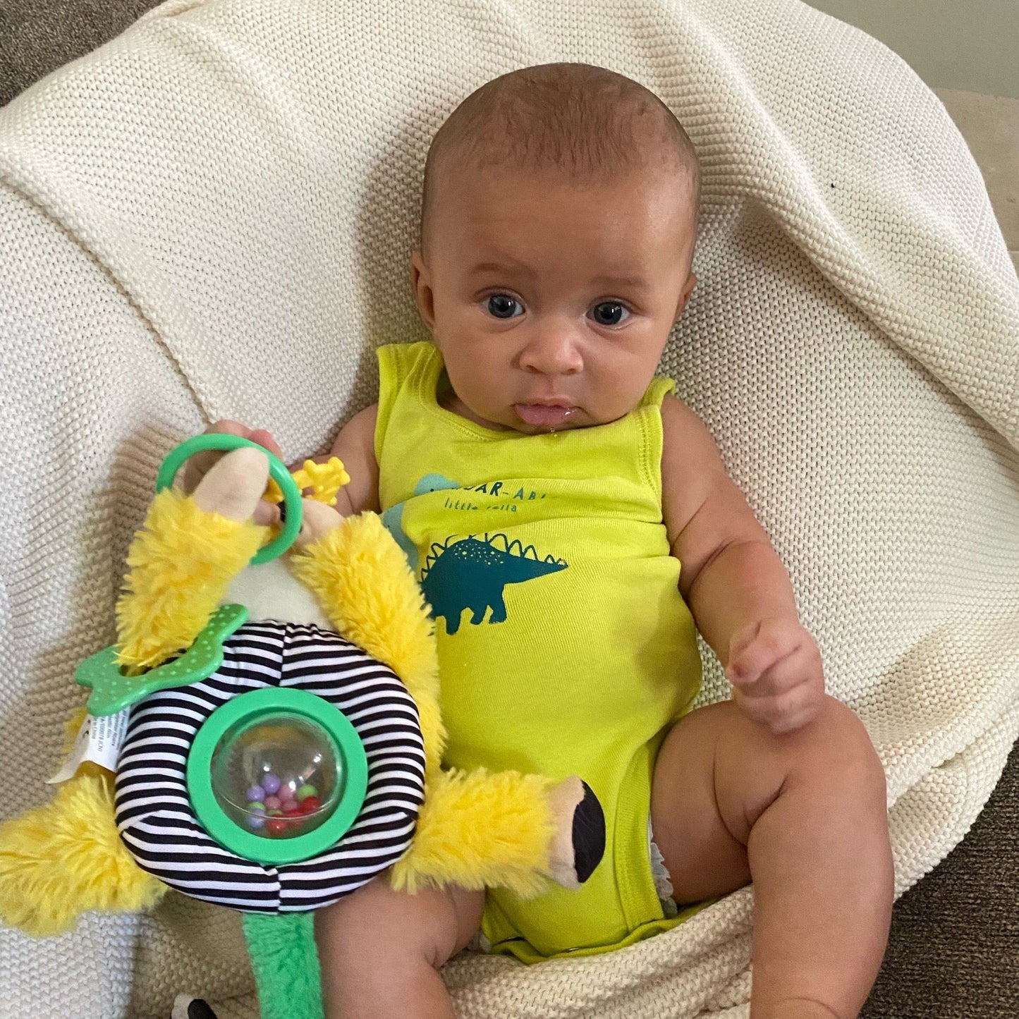 Marley Activity Toy Bundle