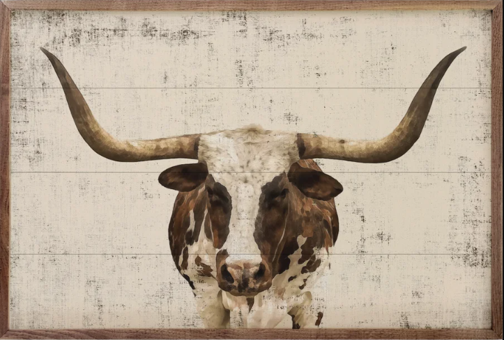 Longhorn Whitewash image 0