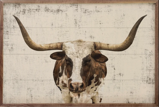 Longhorn Whitewash image 0