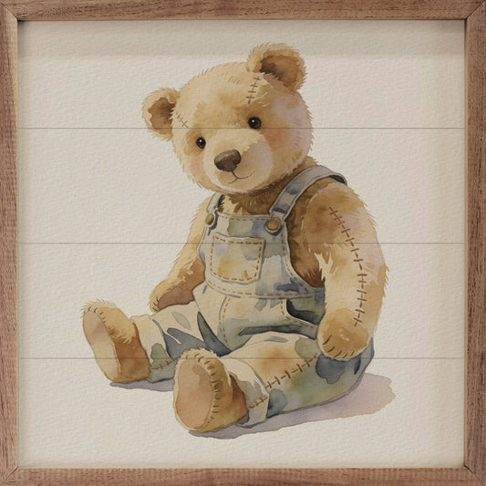 Teddy Bear Overalls
