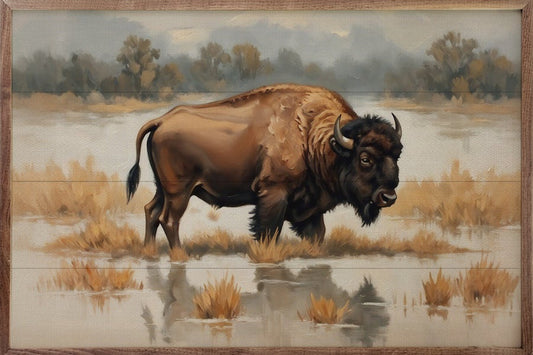 Bison in Water image 0