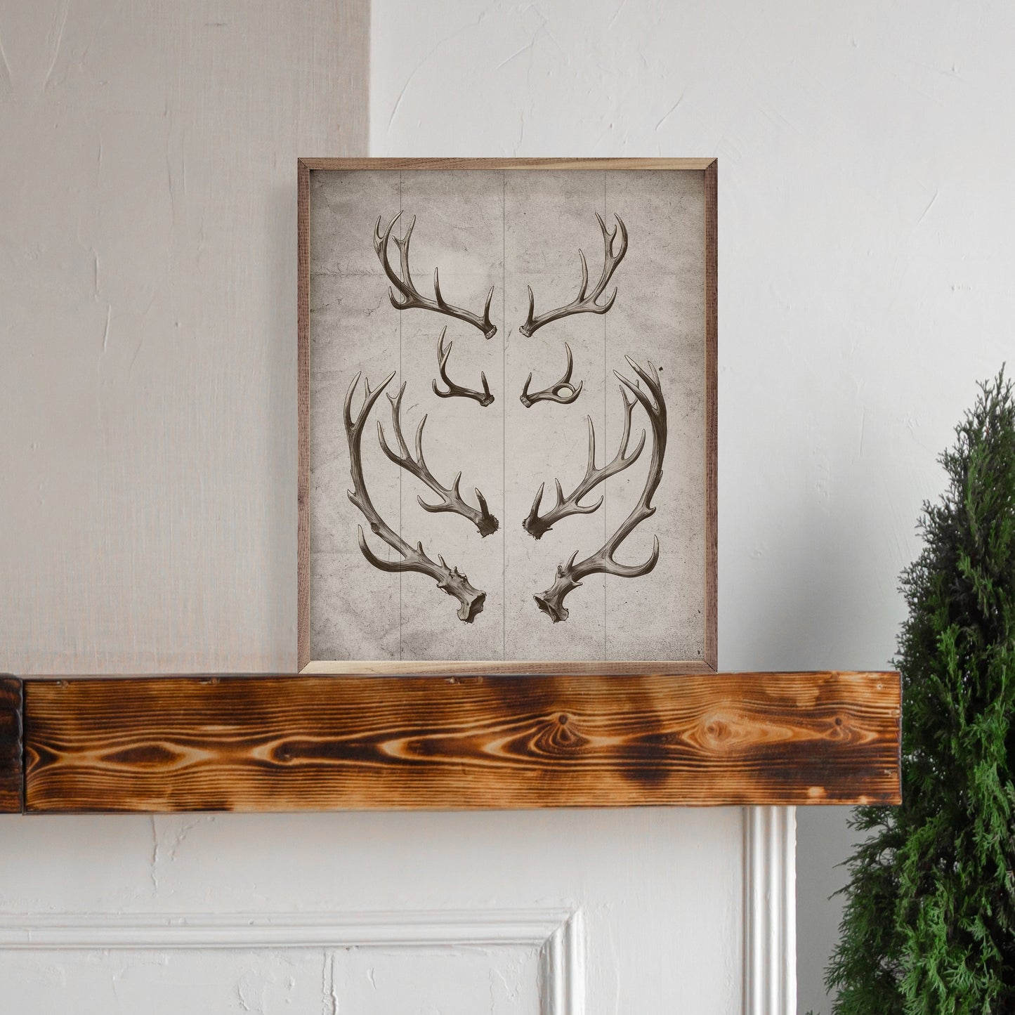 Antlers White