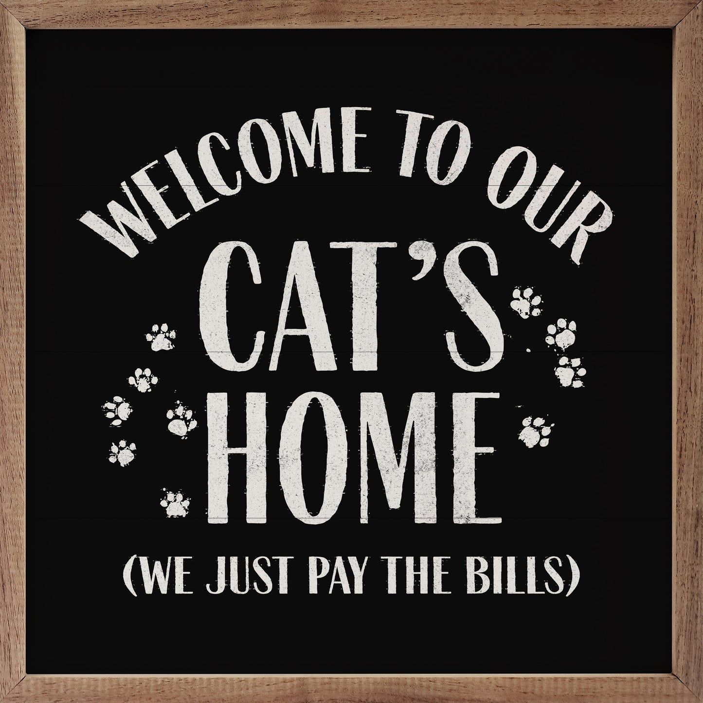 Welcome To Our Cat's Home