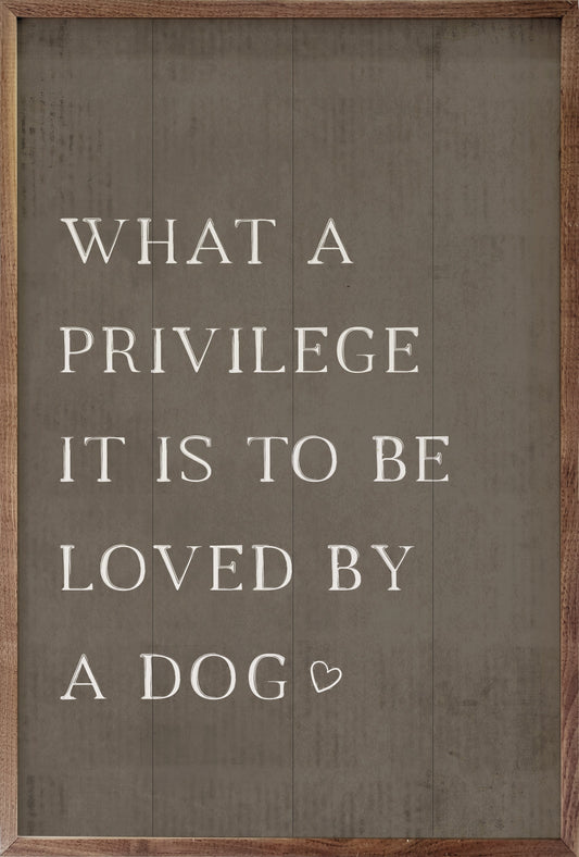 What A Privilege Dog