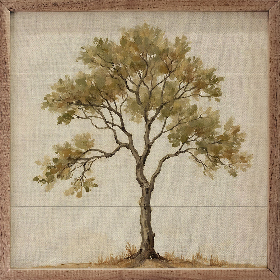 Vintage Solo Tree
