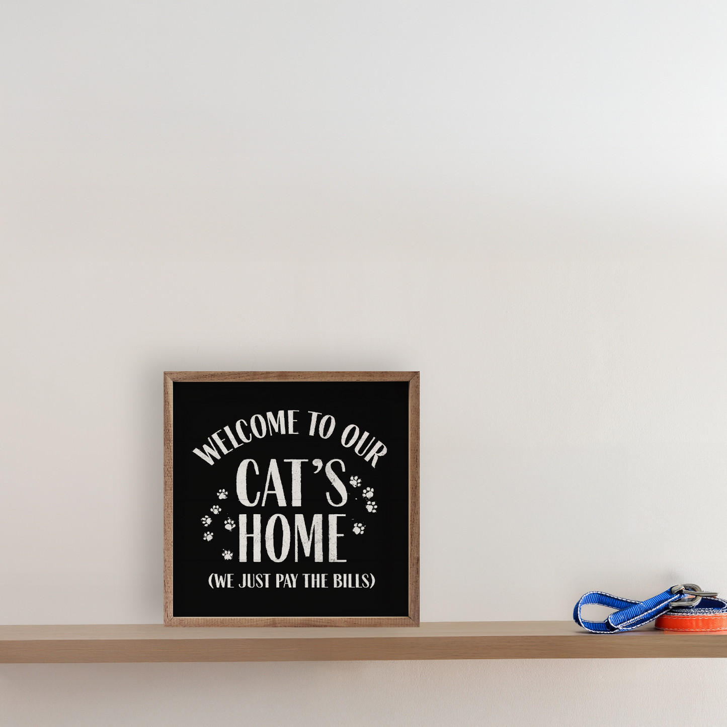 Welcome To Our Cat's Home