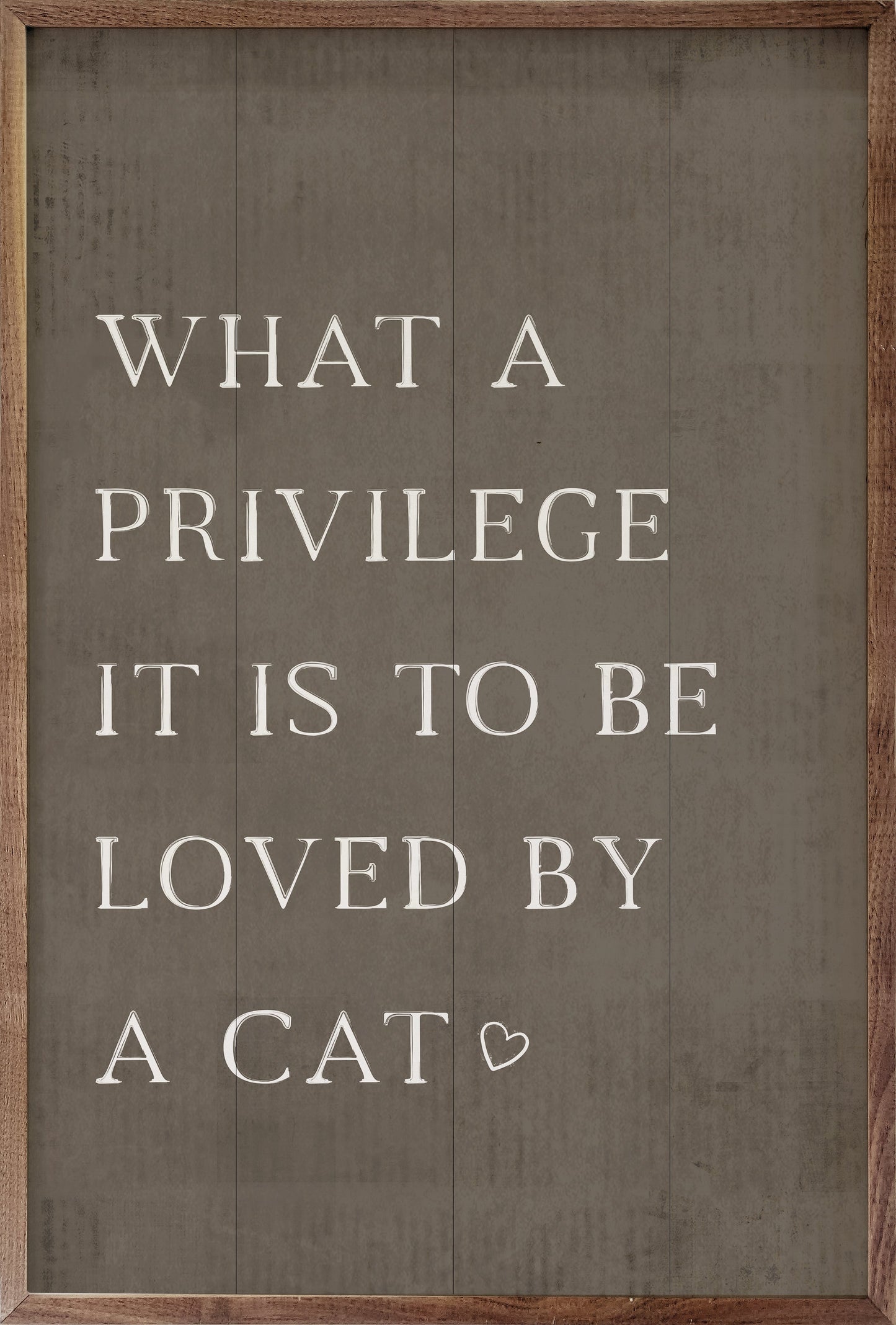 What A Privilege Cat