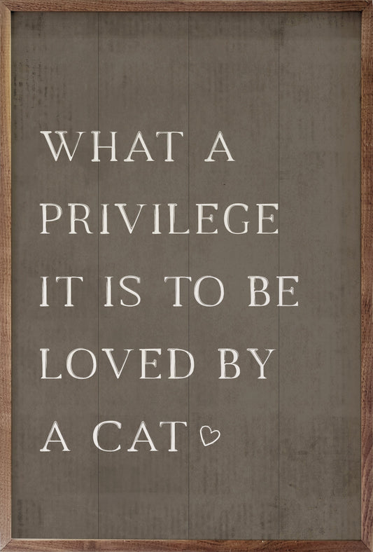 What A Privilege Cat