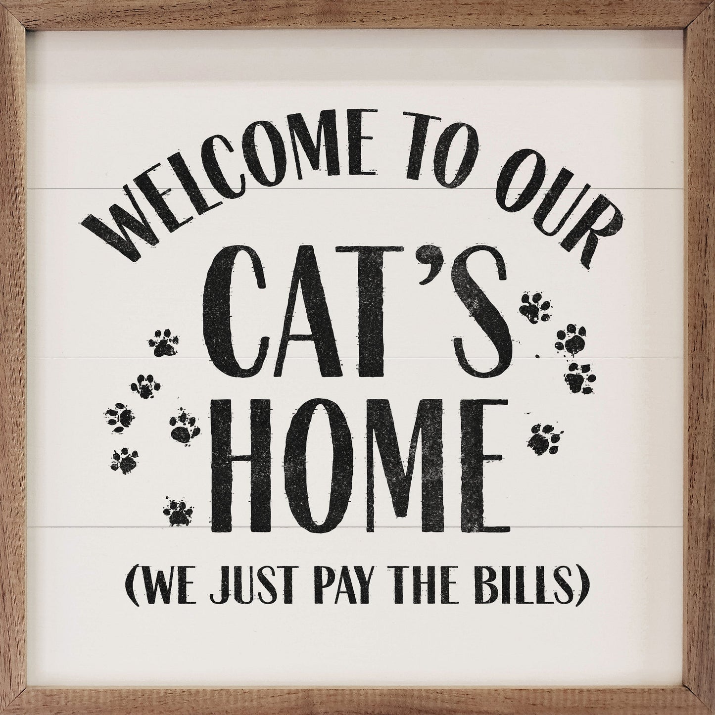 Welcome To Our Cat's Home