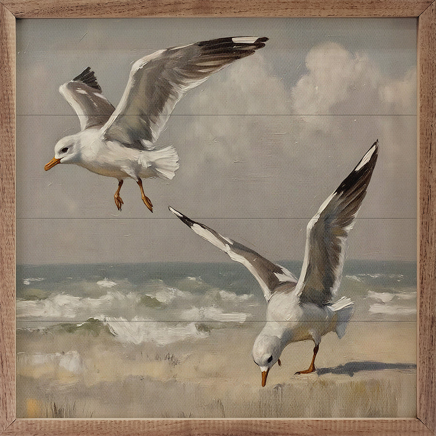 Gulls In Flight