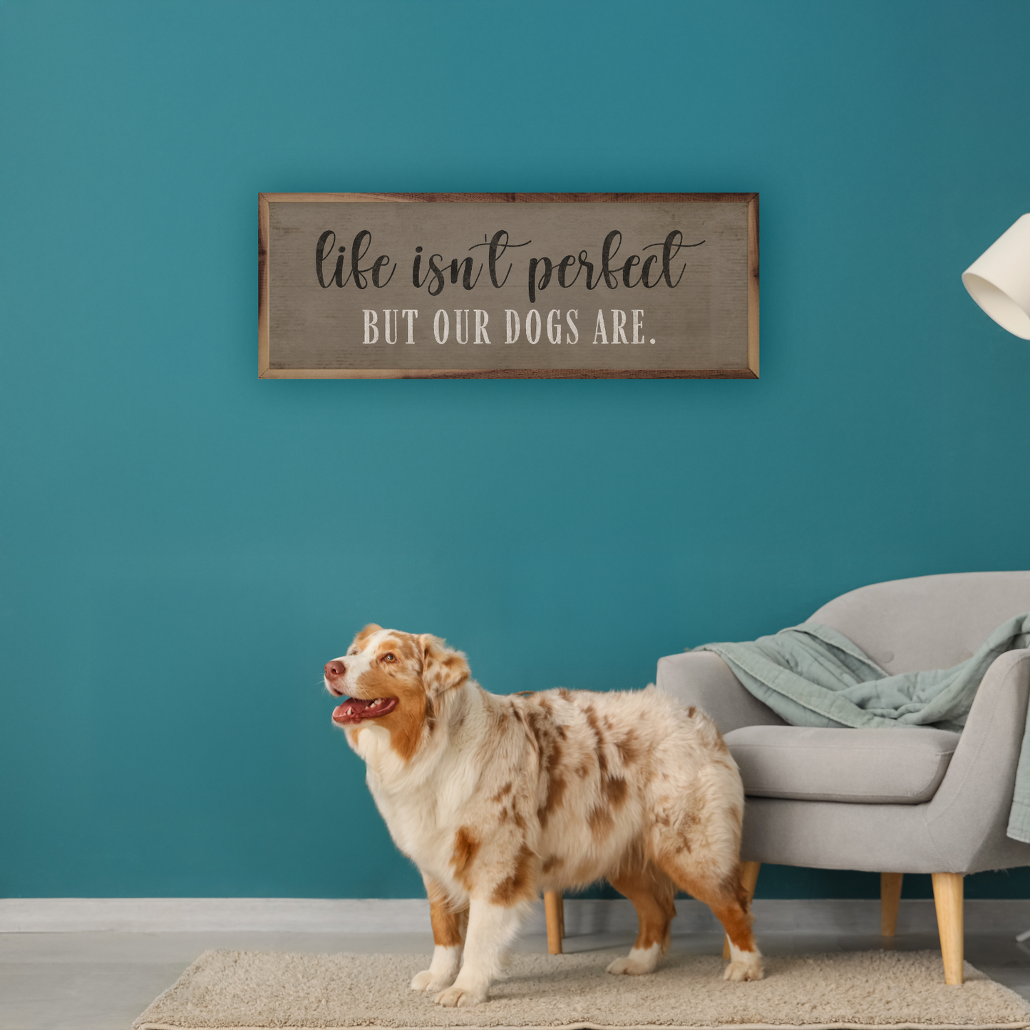Life Isn't Perfect Dogs Are