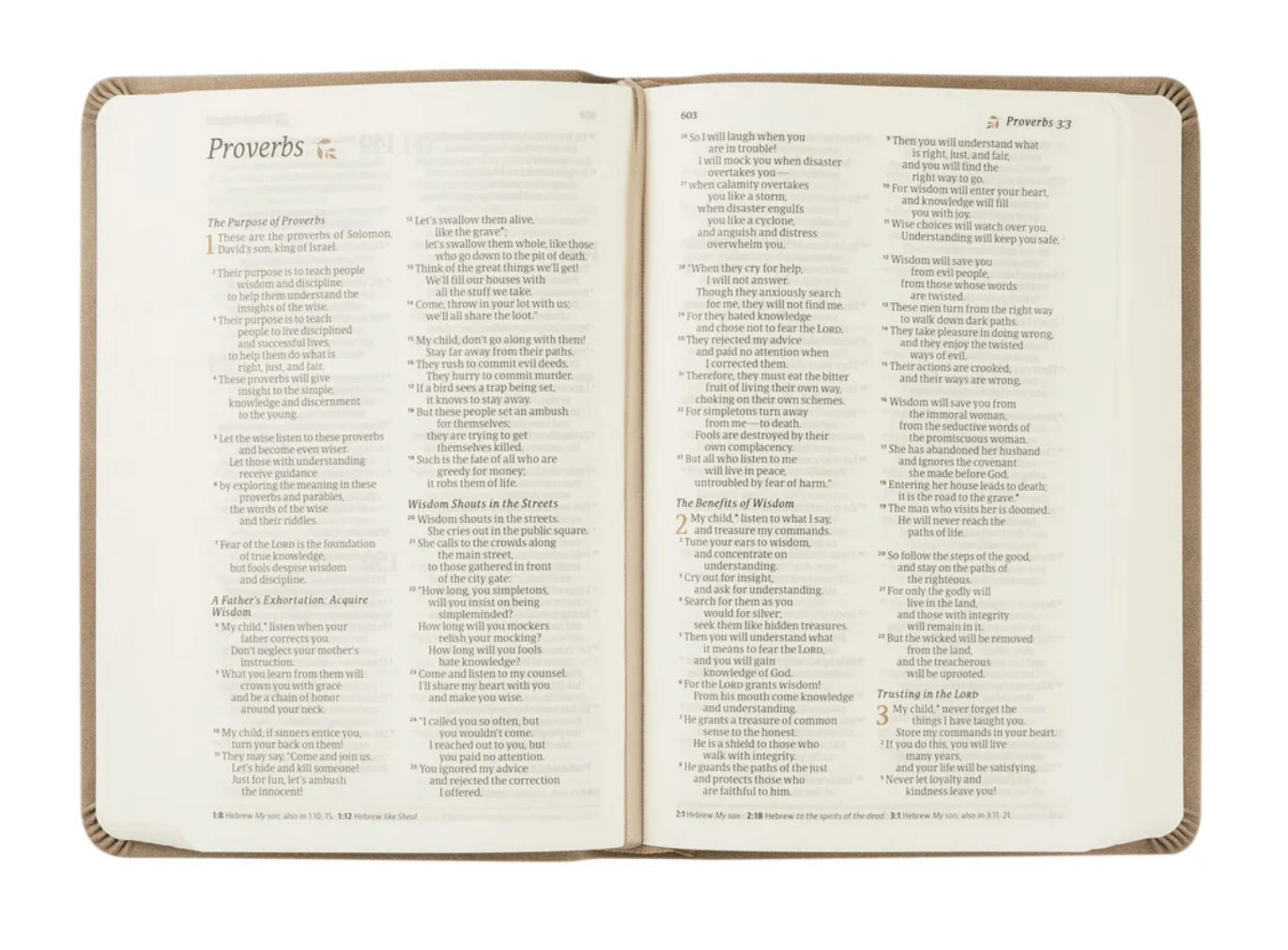 NLT COMPACT BIBLE: MARLO