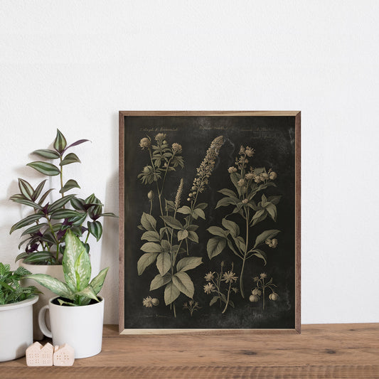 Vintage Neutral Floral Print Black