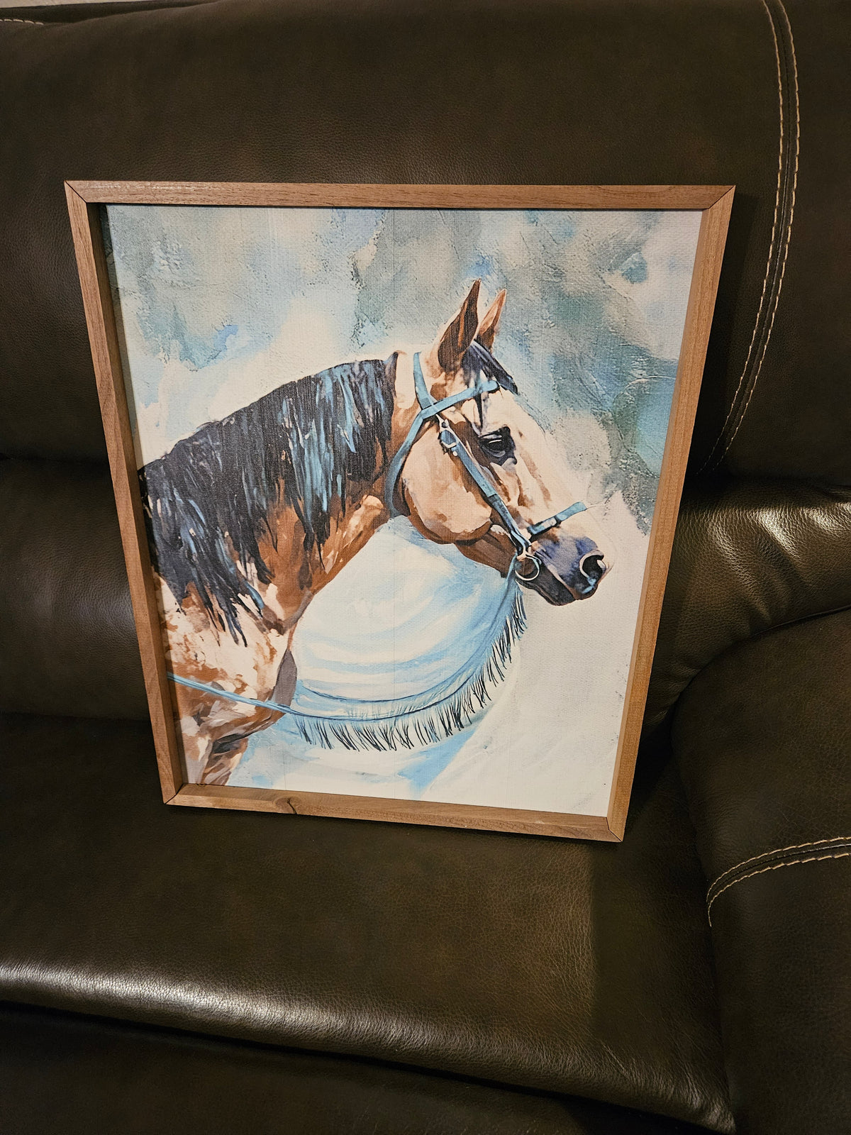 Horse With Turquoise Fringe